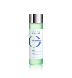 Gigi (ДжиДжи) Aroma Essence Soap for oily skin / Мыло для жирной кожи, 250 мл